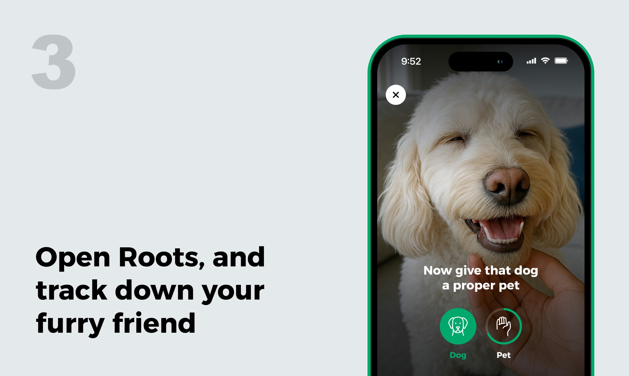 Haustier einen Hund, um soziale Medien zu nutzen - durch Wurzeln - Der gesunde App -Blocker im Internet Medien 5