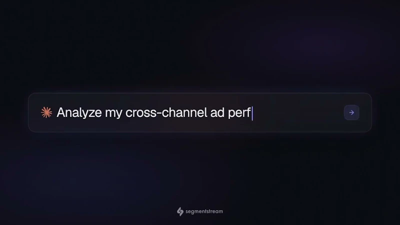 SegmentStream screenshot 1 (video preview)