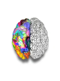 Founder Mental Wealth Training