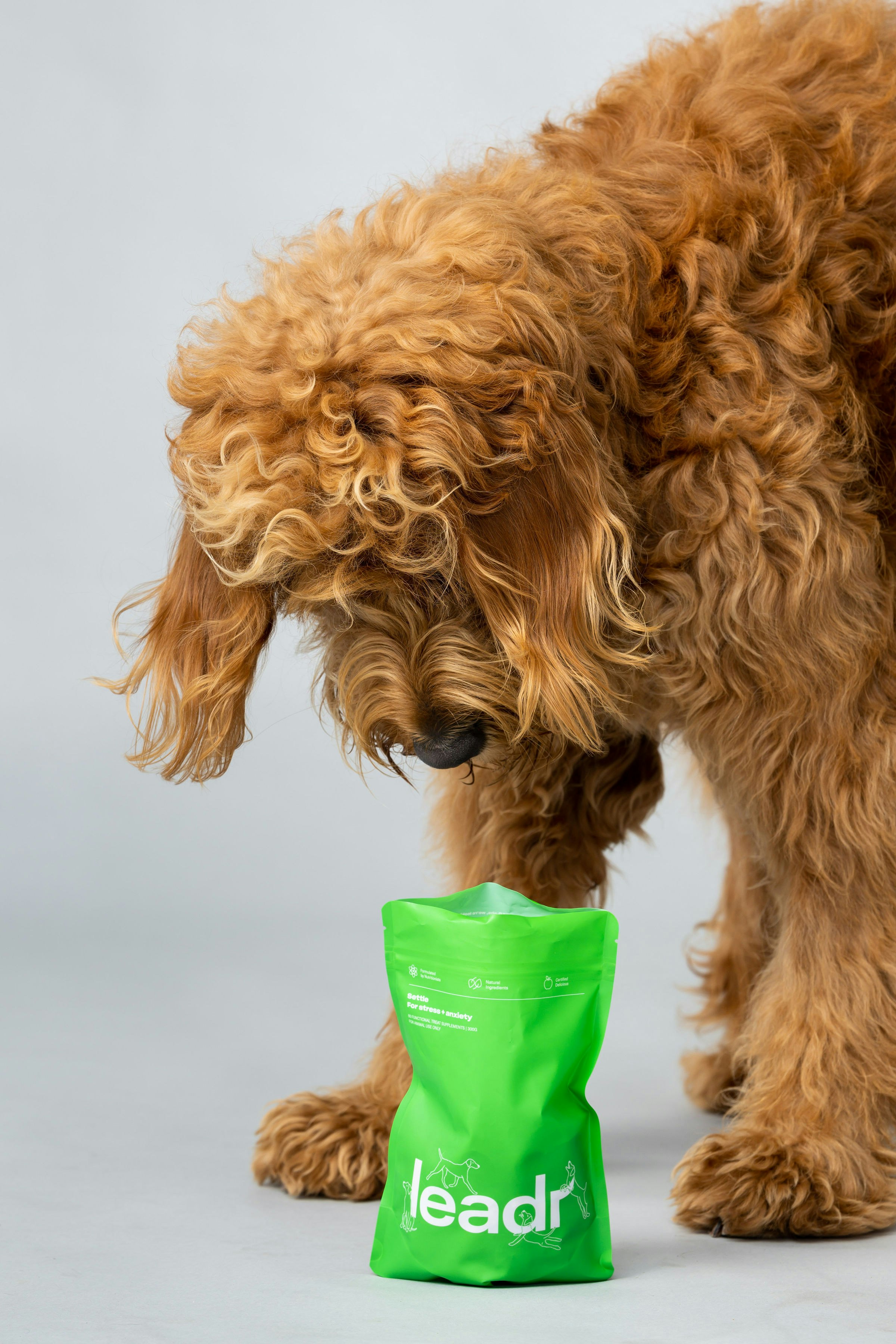 Mídia 1 de Leadr Science apoiou suplementos para animais de estimação