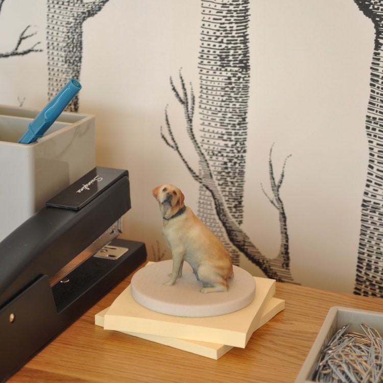 PocketMe gallery image