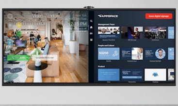 Video Window Immersive gallery image