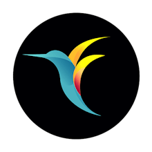 Bebird Wireless Ear Otoscope gallery image