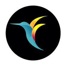 Bebird Wireless Ear Otoscope gallery image
