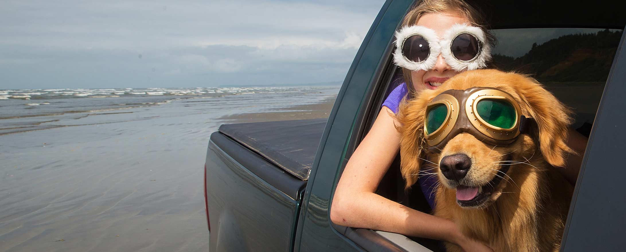 PawsLikeMe gallery image