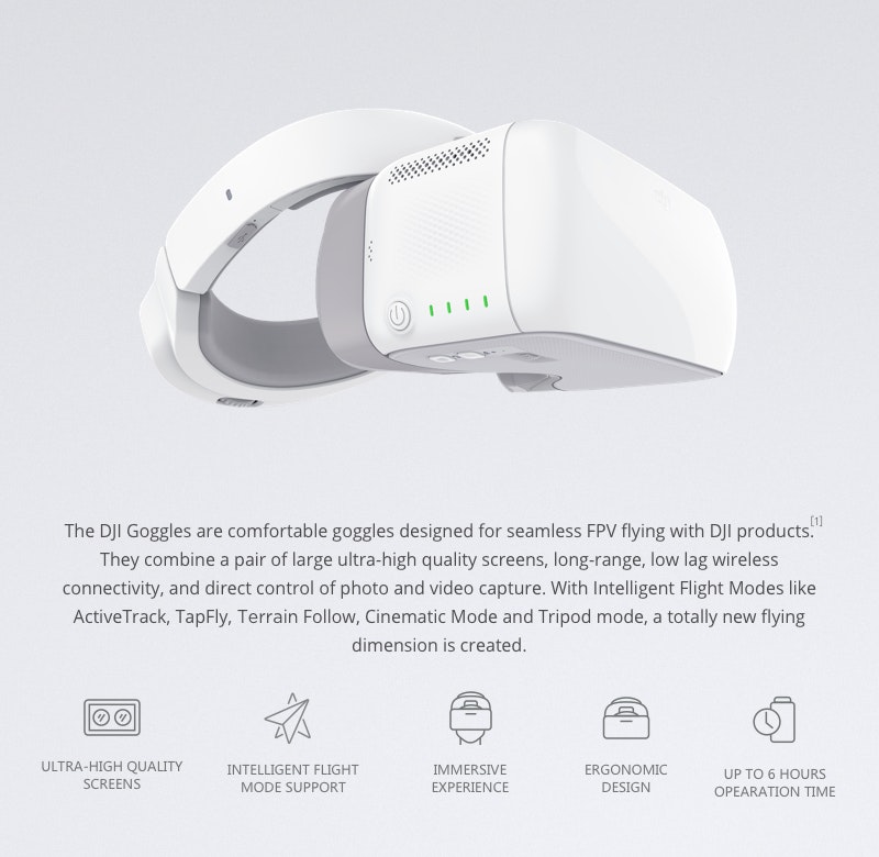 DJI Goggles Image