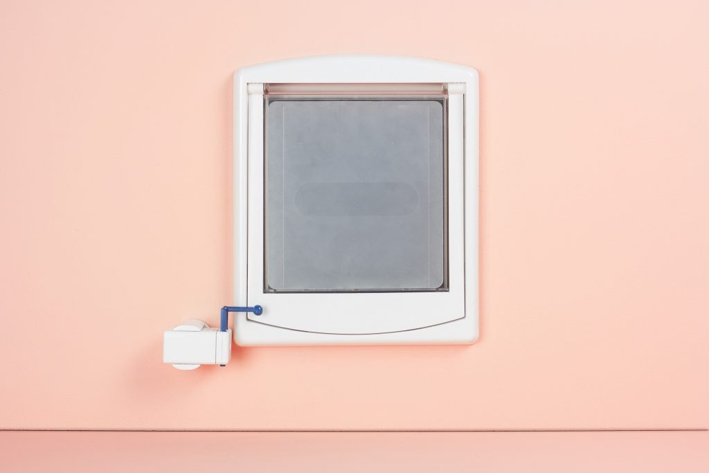 Smartians gallery image