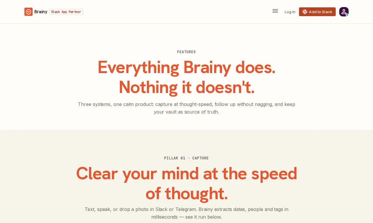 Brainy gallery image