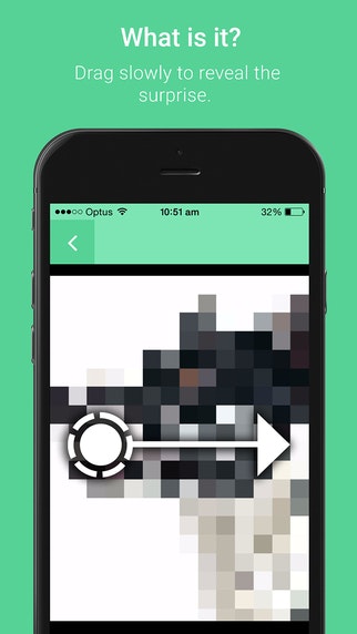 Ruffle gallery image