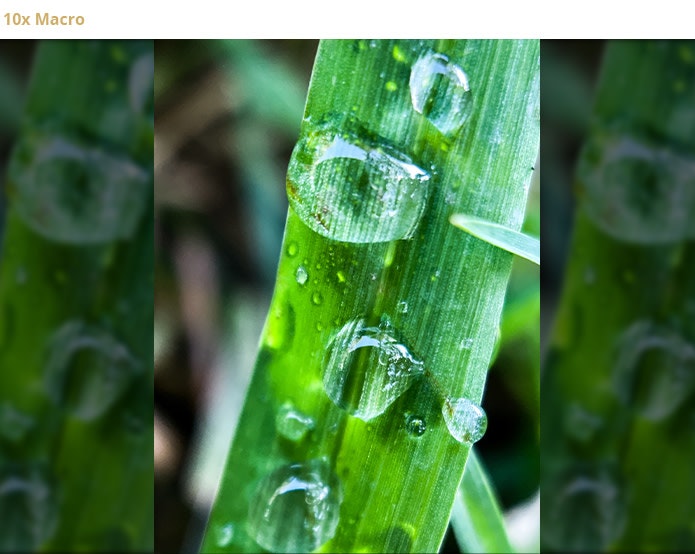 ShiftCam Multi-Lens Case gallery image