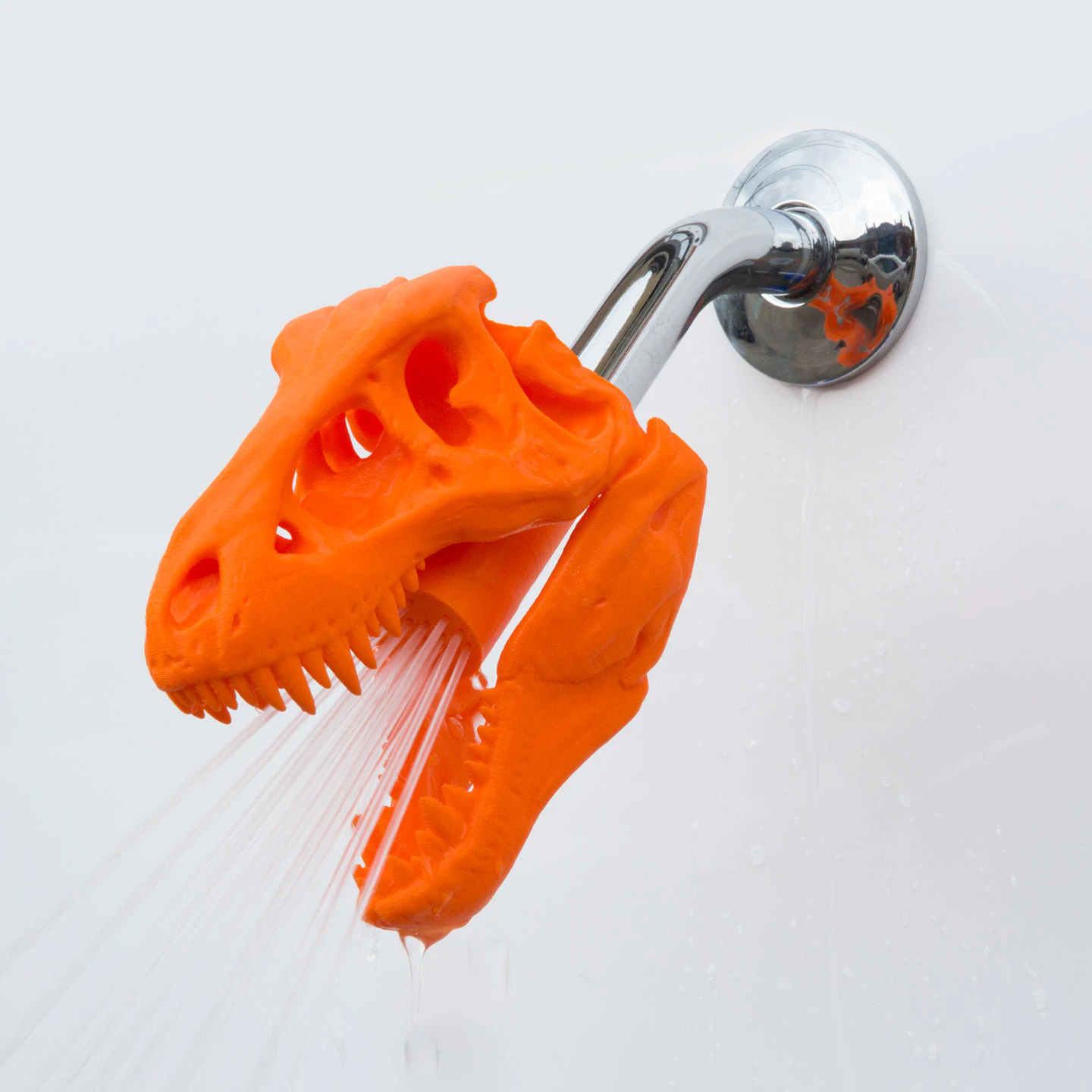 Zooheads Image