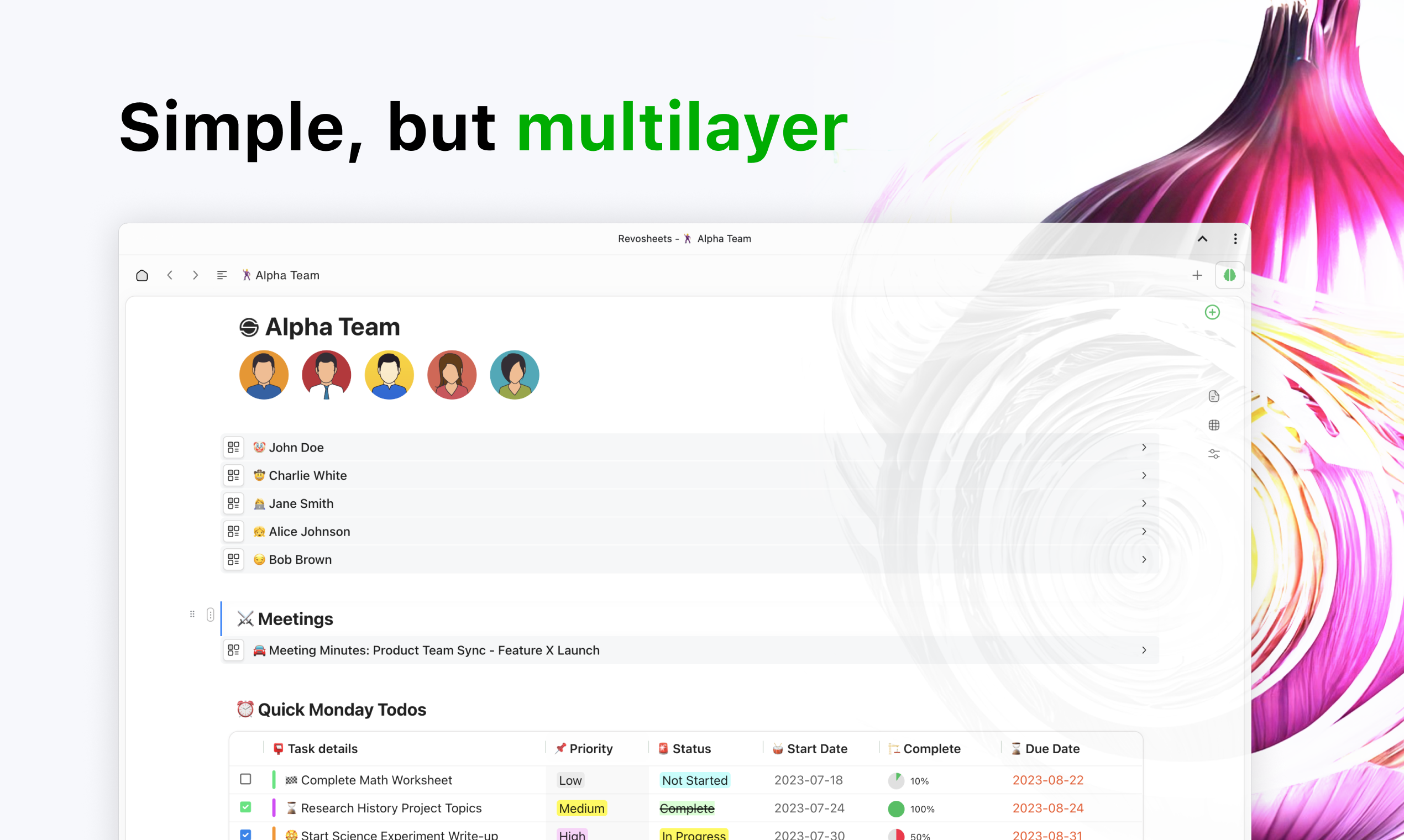 Revosheets media 4