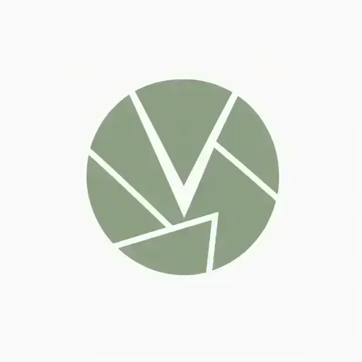 ImageVivid logo