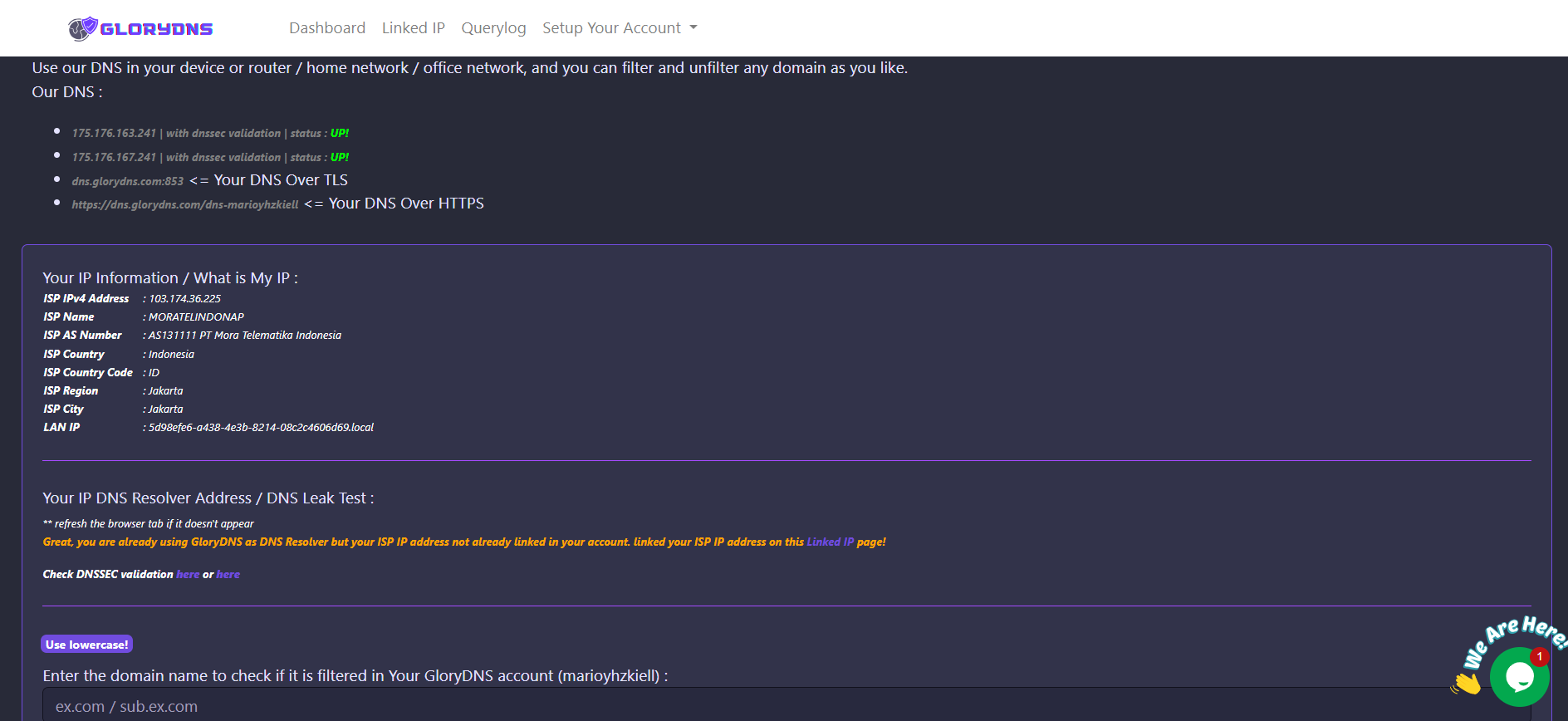 Glorydns v1.0 media 4