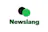 Newslang