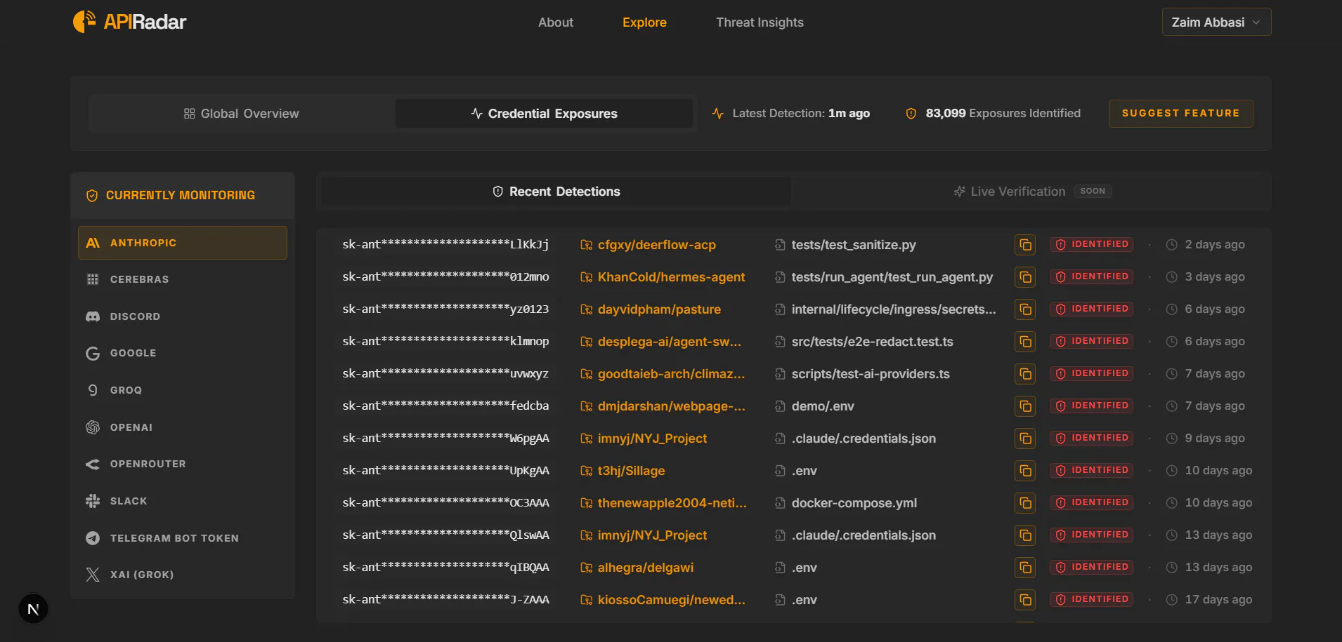 APIRadar – Open-Source API Key Scanner 截图 4