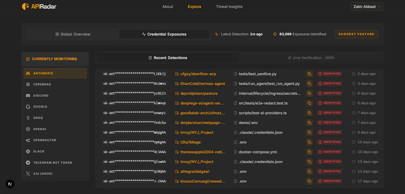 APIRadar – Open-Source API Key Scanner screenshot 4