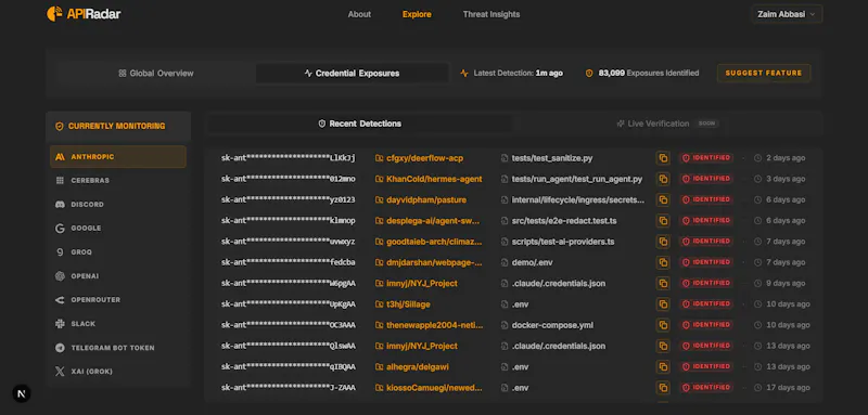 APIRadar – Open-Source API Key Scanner screenshot 4