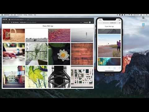 Web application with Flutter and Dart gallery image