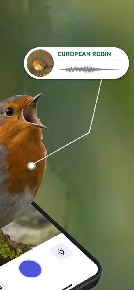 Media Id panggilan pengenal suara burung - Apa burung yang baru anda lihat?Aplikasi ini tahu! 3