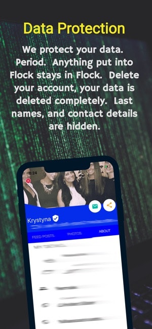 The Flock gallery image