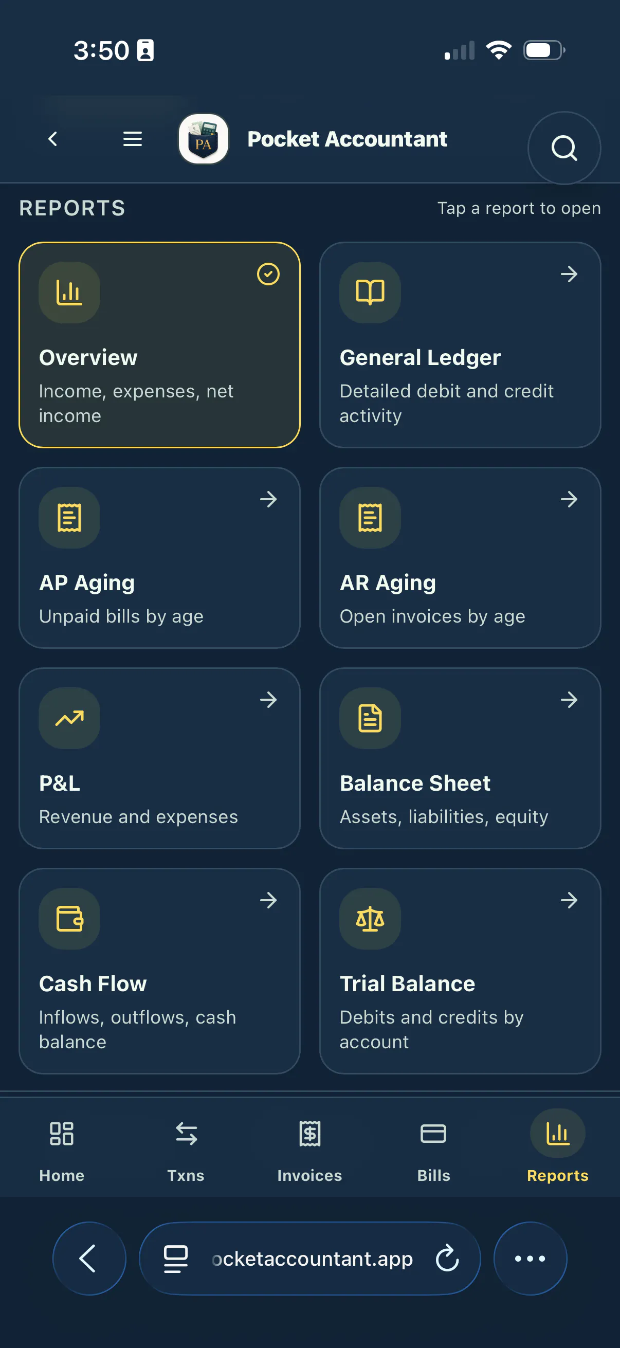 Pocket Accountant gallery image