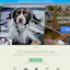 Pixelist