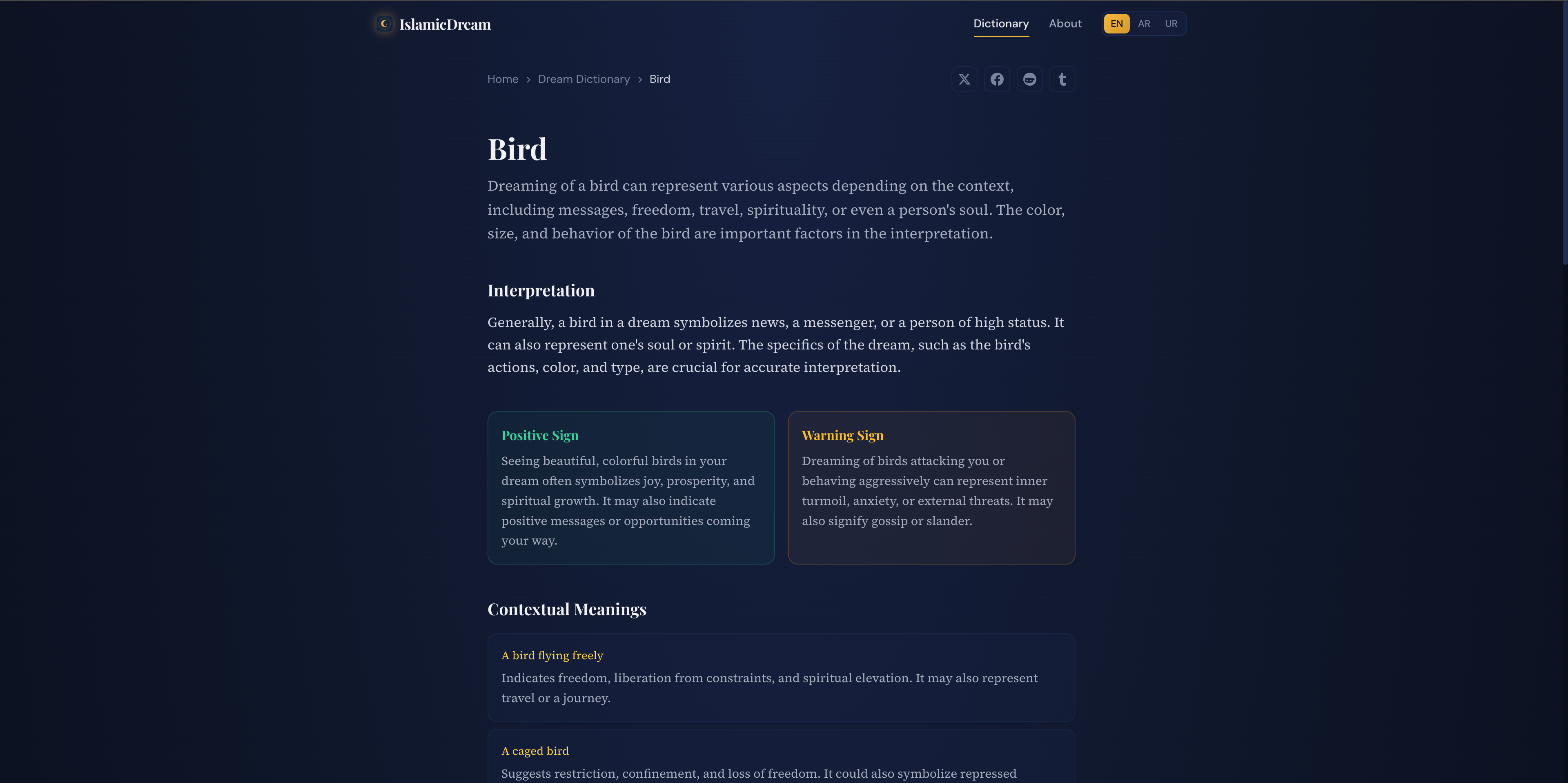 Islamic Dream - Screenshot 3 showing product features and functionality