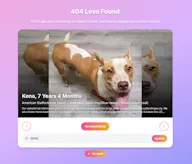 404 Love Found