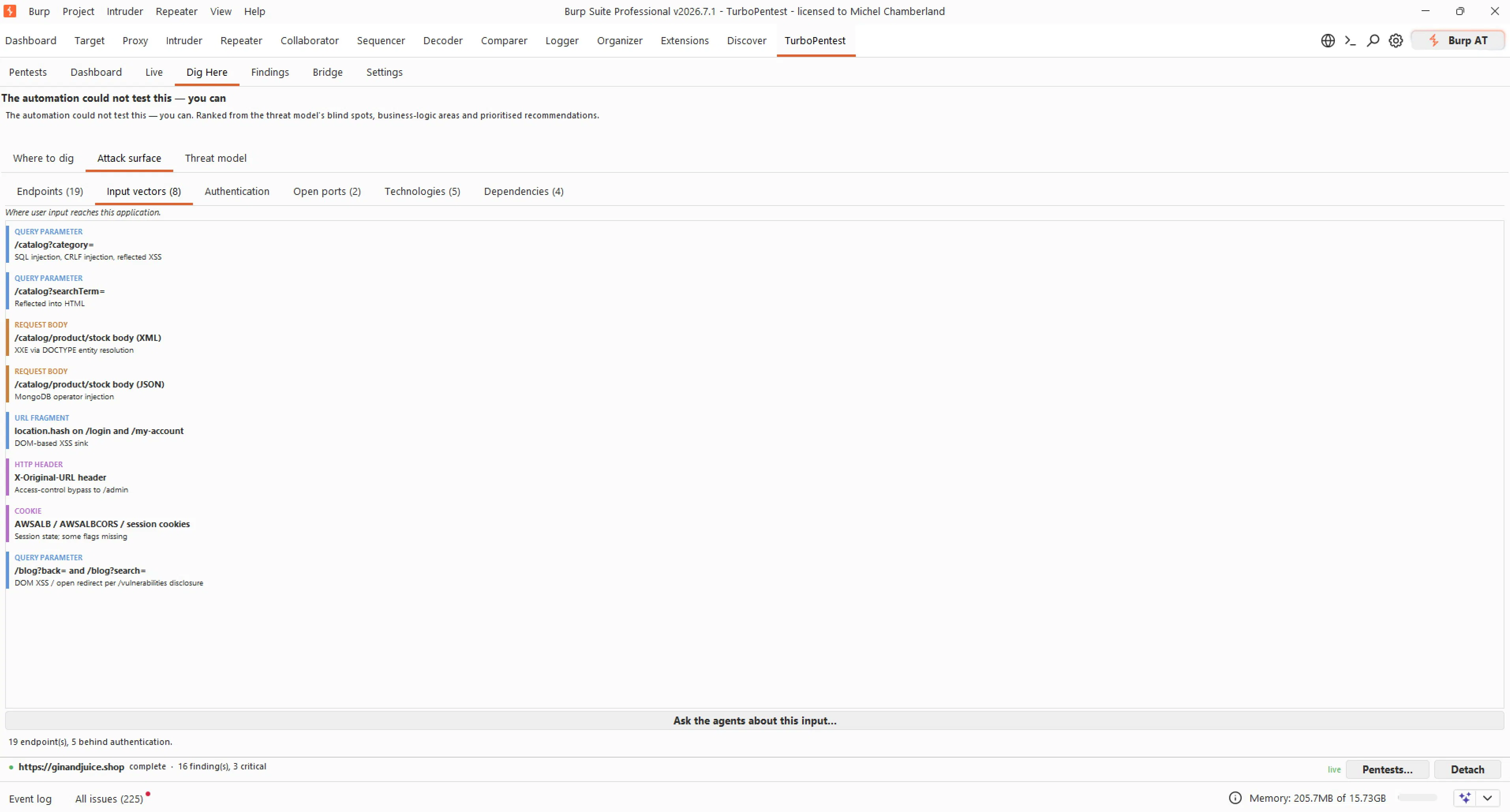 TurboPentest gallery image
