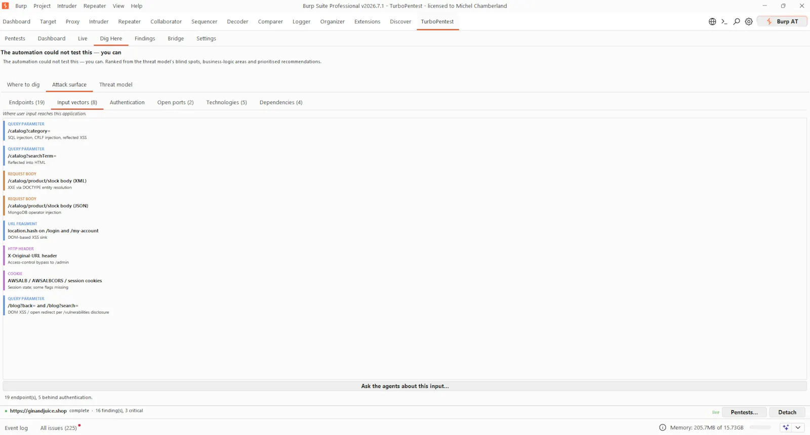 TurboPentest screenshot 14