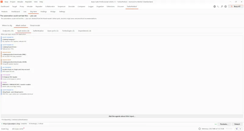 TurboPentest screenshot 14