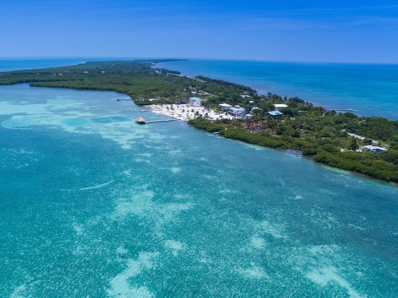 Planet Money - Episode 390: We Set Up An Offshore Company In A Tax Haven