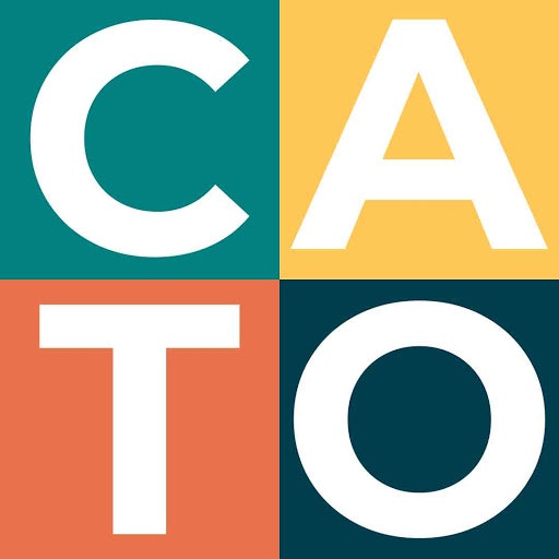 Catofilm gallery image
