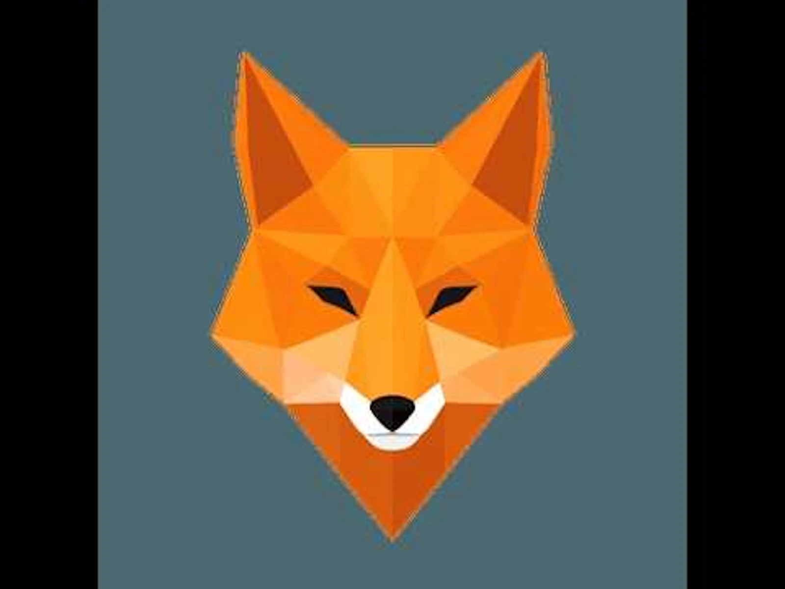 ScoutFox  screenshot 1 (video preview)