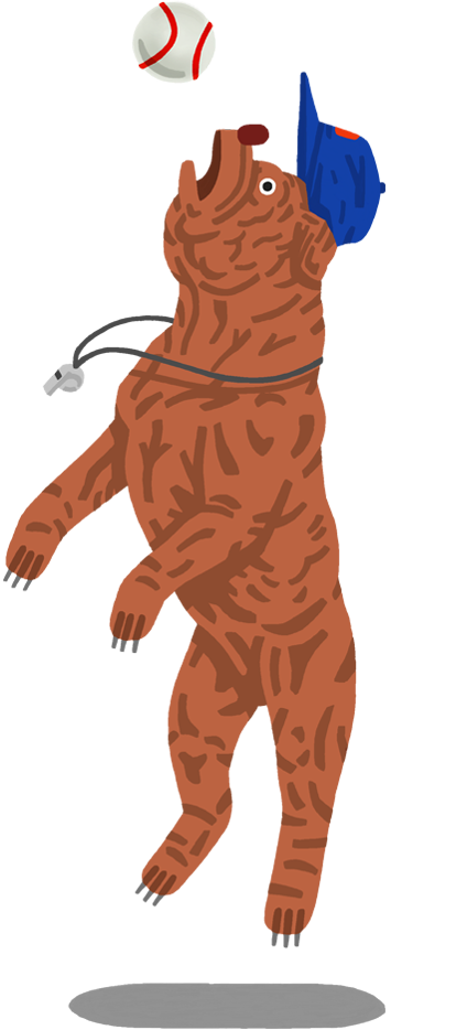 Homerun gallery image