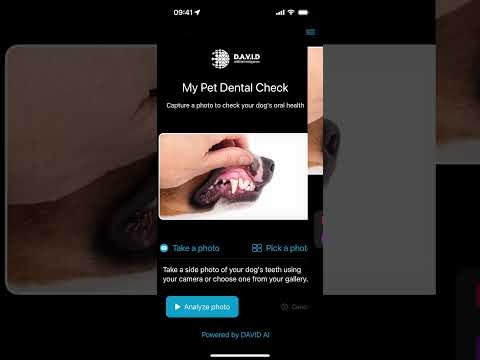 My Pet Dental Check gallery image