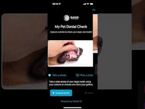 My Pet Dental Check gallery image