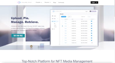 4EVERLAND gallery image