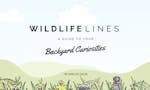 Wildlifelines: A Guide to Your Backyard Curiosities image