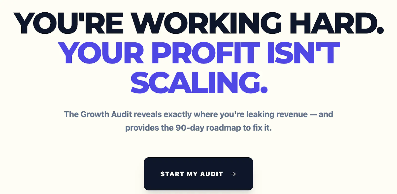Growth Audit by Business Mechanics  screenshot 1
