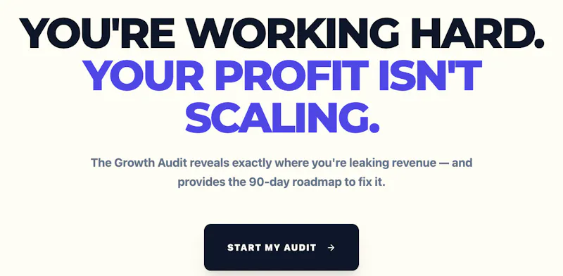 Growth Audit by Business Mechanics  screenshot 1