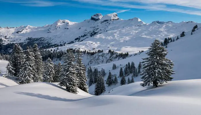 Gulmarg Gondola Ticket Booking Portal gallery image