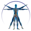 Human