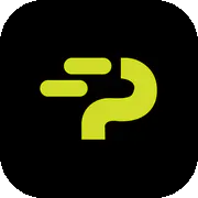 Payflip logo