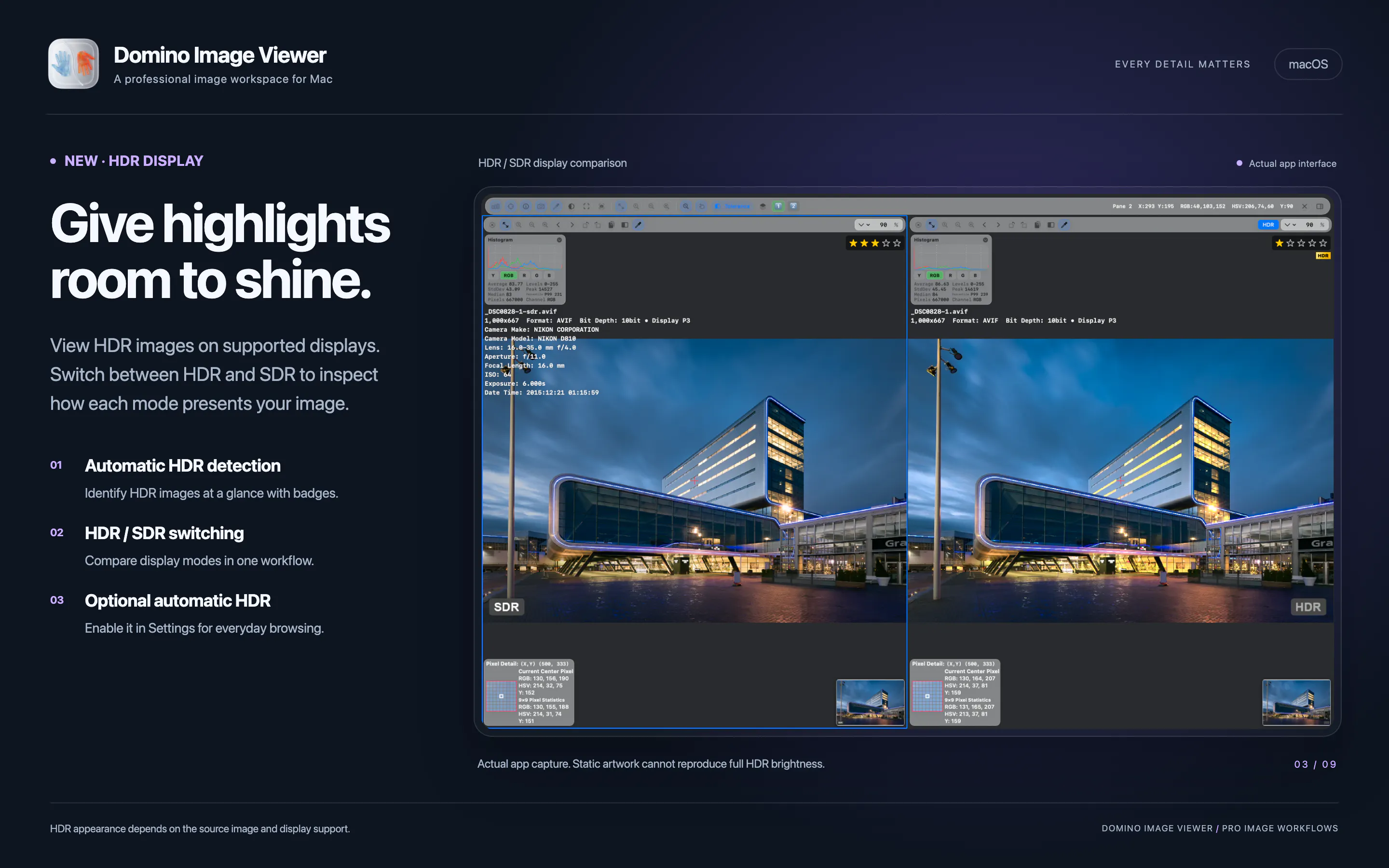 Domino Image Viewer gallery image