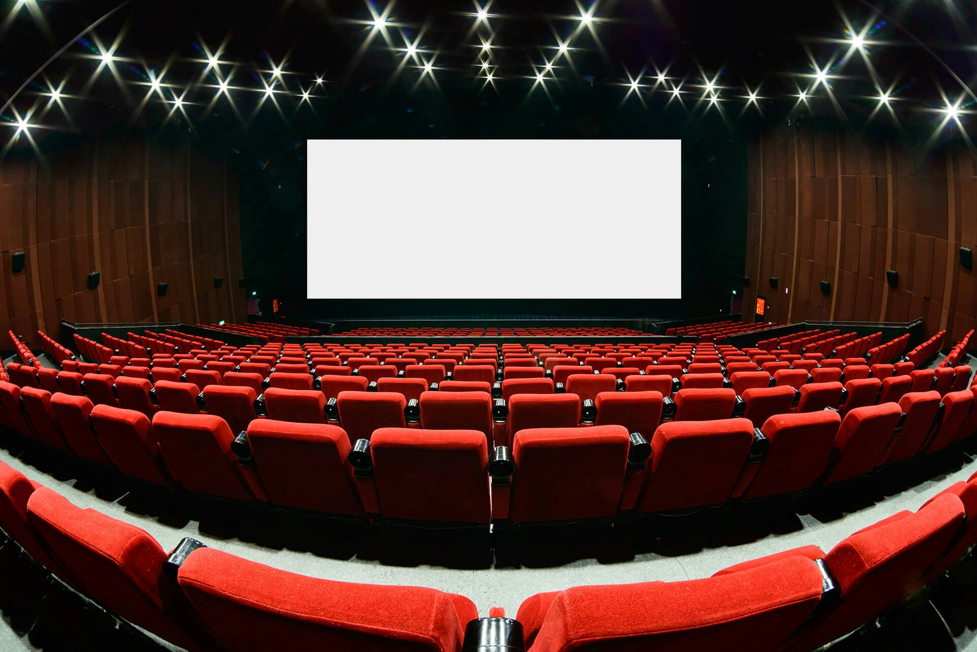 Project Russ Movie Reviews