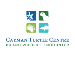 Exhibits & Animal Attractions at Cayman gallery image