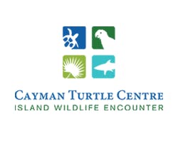 Exhibits & Animal Attractions at Cayman media 1