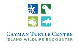 Exhibits & Animal Attractions at Cayman media 1